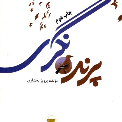 پرنده-نگری